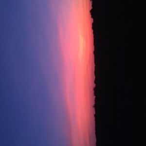 Meet your Posher, Brody